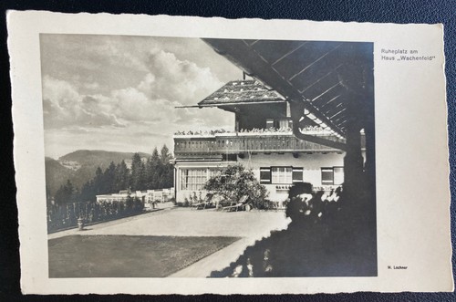 Mint germany real picture - mint,